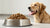 Does Wet Dog Food Give Dogs Diarrhea? Understanding the Facts for Pet Owners