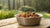 Does Wet Dog Food Go Bad? A Comprehensive Guide to Keeping Your Pup's Meals Fresh
