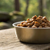 Does Wet Dog Food Go Bad If Left Out? Essential Guidelines for Pet Owners
