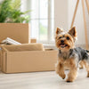 Does Wet Dog Food Have More Calories Than Dry? Understanding the Nutritional Differences