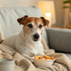 Does Wet Dog Food Help with Dehydration? Understanding Hydration Benefits for Your Canine Companion