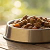 Does Wet Dog Food Need to Be Refrigerated? Understanding Proper Storage for Your Pup's Meals