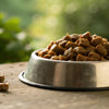 Does Wet Dog Food Need to Be Refrigerated After Opening? Essential Tips for Pet Owners