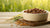 Does Wet Dog Food Spoil? Understanding Storage and Safety for Your Furry Friend