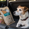 How Long Can Dog Food Stay in a Hot Car? Essential Insights for Pet Owners