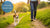 Effective Strategies for How to Make Your Dog Lose Weight Quickly