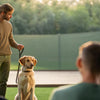 Effective Strategies on How to Discourage Bad Behavior in Dogs