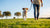 Effective Strategies on How to Get Your Dog to Lose Weight Quickly