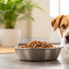 Effective Strategies on How to Keep Your Dog from Eating Cat Food