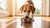 Effective Strategies on How to Make a Dog Lose Weight Without Exercise
