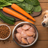 Elevating Canine Health: What to Add to Homemade Dog Food