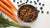 Elevating Puppy Nutrition: What Can Be Mixed with Dry Dog Food for Puppies?