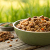 Elevating Your Dog's Diet: Homemade Dog Food with Brown Rice