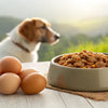 Elevating Your Dog's Diet: Homemade Dog Food with Eggs