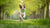 Engaging Your Dog's Mind: How to Mentally Exercise Your Dog