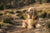 English Cocker Spaniel Personality Traits: A Guide for Owners