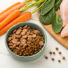 Enhancing Your Dog's Diet: What Can I Put on Dry Dog Food?