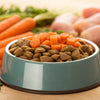 Enhancing Your Dog's Diet: What Can You Add to Dog Kibble?