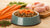 Enhancing Your Dog's Diet: What Can You Add to Dog Kibble?