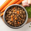 Enhancing Your Dog's Kibble: What Can Be Added to Dry Dog Food