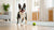Enhancing Your Pup's Meals: What to Mix with Dry Dog Food