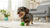 Exploring the Advantages of Grain-Free Dog Food for Your Canine Companion