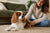 Exploring the Cavalier King Charles Spaniel Temperament