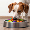 Exploring the Fascinating Behavior: Why Do Dogs Put Toys in Their Food Bowl?