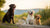 Exploring the Impact of Phenobarbital: Does Phenobarbital Cause Weight Gain in Dogs?