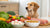 Exploring What House Food Can Dogs Eat: A Comprehensive Guide
