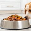 Exploring What Is the Highest Rated Wet Dog Food for Your Furry Friend