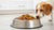 Exploring What Is the Highest Rated Wet Dog Food for Your Furry Friend