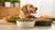 Finding the Best Food for Dogs with Allergies: A Comprehensive Guide-141112770799
