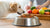 Finding the Right Amount: How Much Food to Feed a Dog Per Day