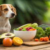 Homemade Diet for Dogs with UTI: A Comprehensive Guide to Natural Health