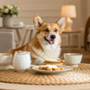 Homemade Dog Biscuits with Pumpkin: Simple Recipes and Benefits for Your Furry Friend