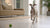 Homemade Dog Food for Boxers: A Nutritional Guide for Your Furry Friend