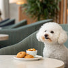 Homemade Dog Food for Shih Tzu: Delicious, Nutritious, and Tail-Wagging Good