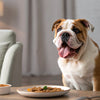 Homemade Dog Food for Weight Loss: A Comprehensive Guide to Helping Your Pup Shed Pounds