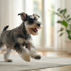 Homemade Dog Food with Ground Beef: A Nourishing Choice for Your Beloved Companion