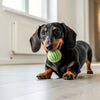 Homemade Dog Treats with Rice: Wholesome Recipes for Your Furry Friends