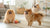 Homemade Dog Treats with Zucchini: A Nutritious and Delicious Snack for Your Furry Friends