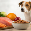 Homemade Food for Dogs with Arthritis: A Nutritious Approach to Joint Health