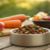 Homemade Food for Dogs with IBS: A Guide to Healthier Dining Options