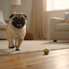 Homemade Grain Free Dog Food: A Thoughtful Approach to Nourishing Your Canine Companion