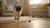 Homemade Grain Free Dog Food: A Thoughtful Approach to Nourishing Your Canine Companion