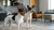 Homemade Low Fat Dog Treats: Healthy Snacks for Your Furry Friends