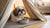 Homemade Sardine Dog Treats: A Delicious and Nutritious Snack for Your Furry Friends
