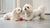 How Are Dog Treats Made? A Comprehensive Guide for Pet Owners