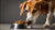How Can I Get My Dog to Eat Dry Food? Tips and Tricks for Picky Eaters